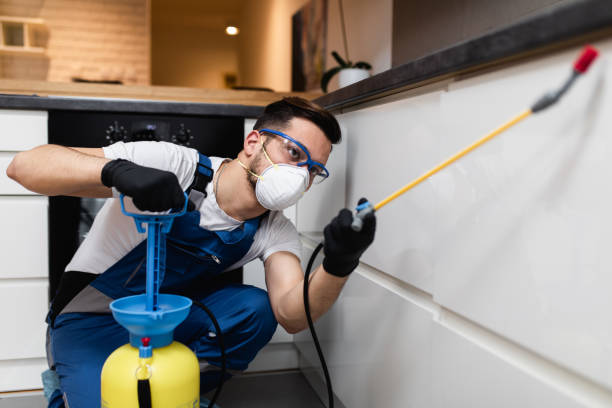 Best Affordable Pest Control Services  in Seneca, IL