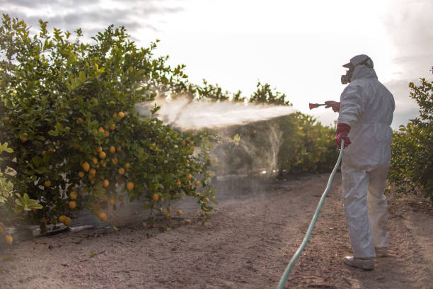 Best Bed Bug Extermination  in Seneca, IL