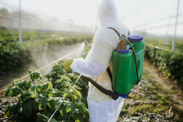 Best Mosquito Control Services  in Seneca, IL
